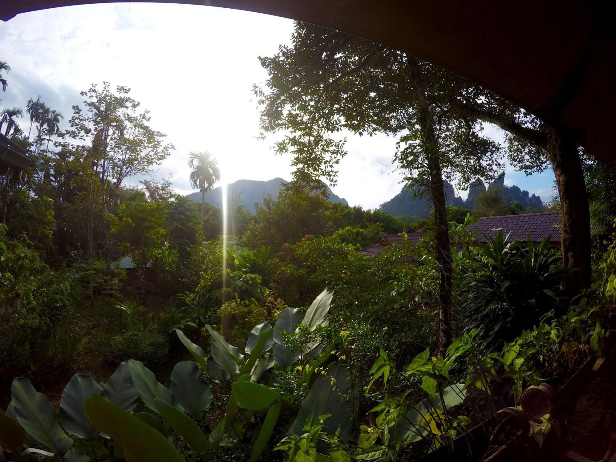 Khao Sok Morning Mist Resort Khao Sok National Park Exterior foto