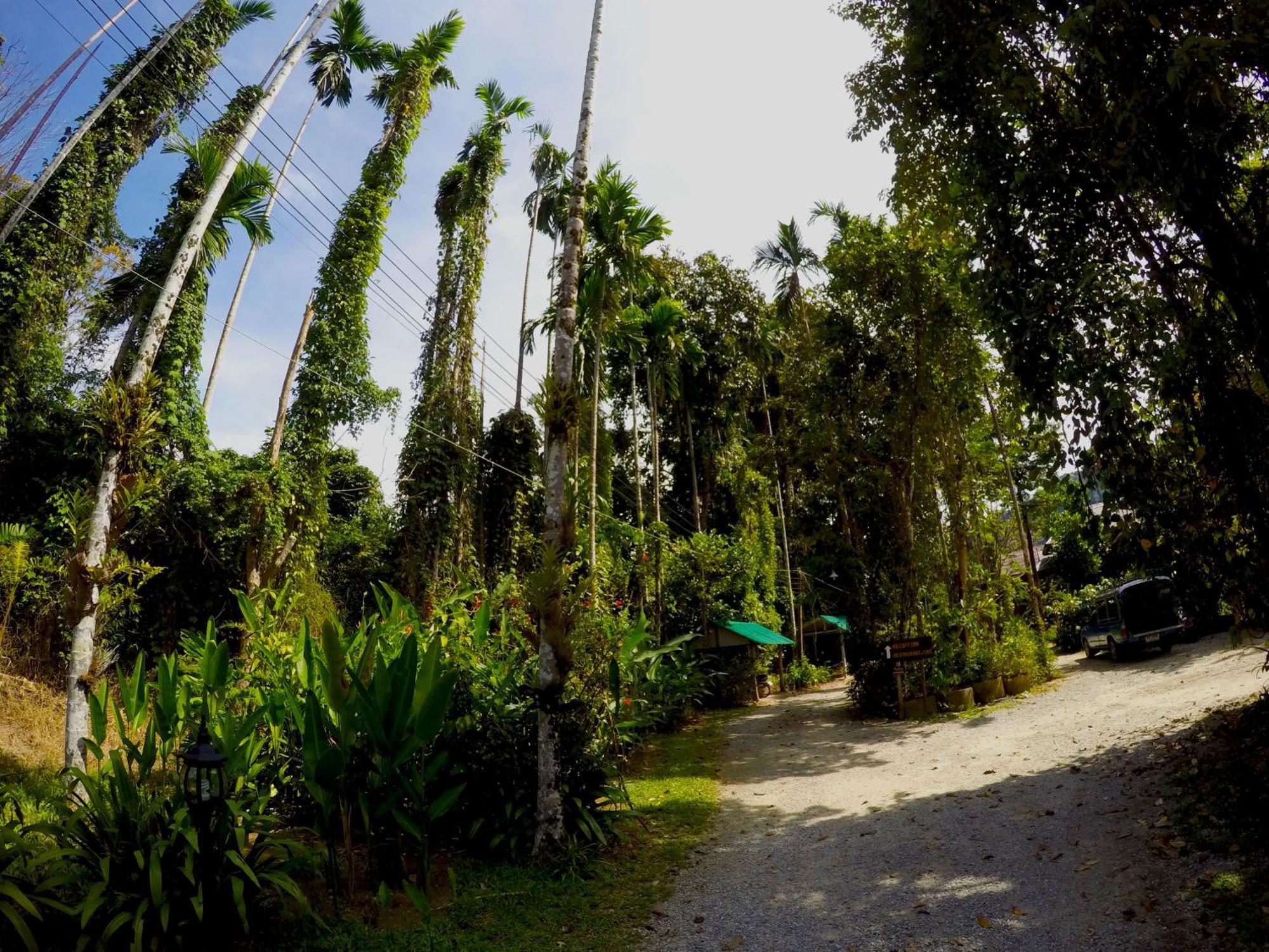 Khao Sok Morning Mist Resort Khao Sok National Park Exterior foto