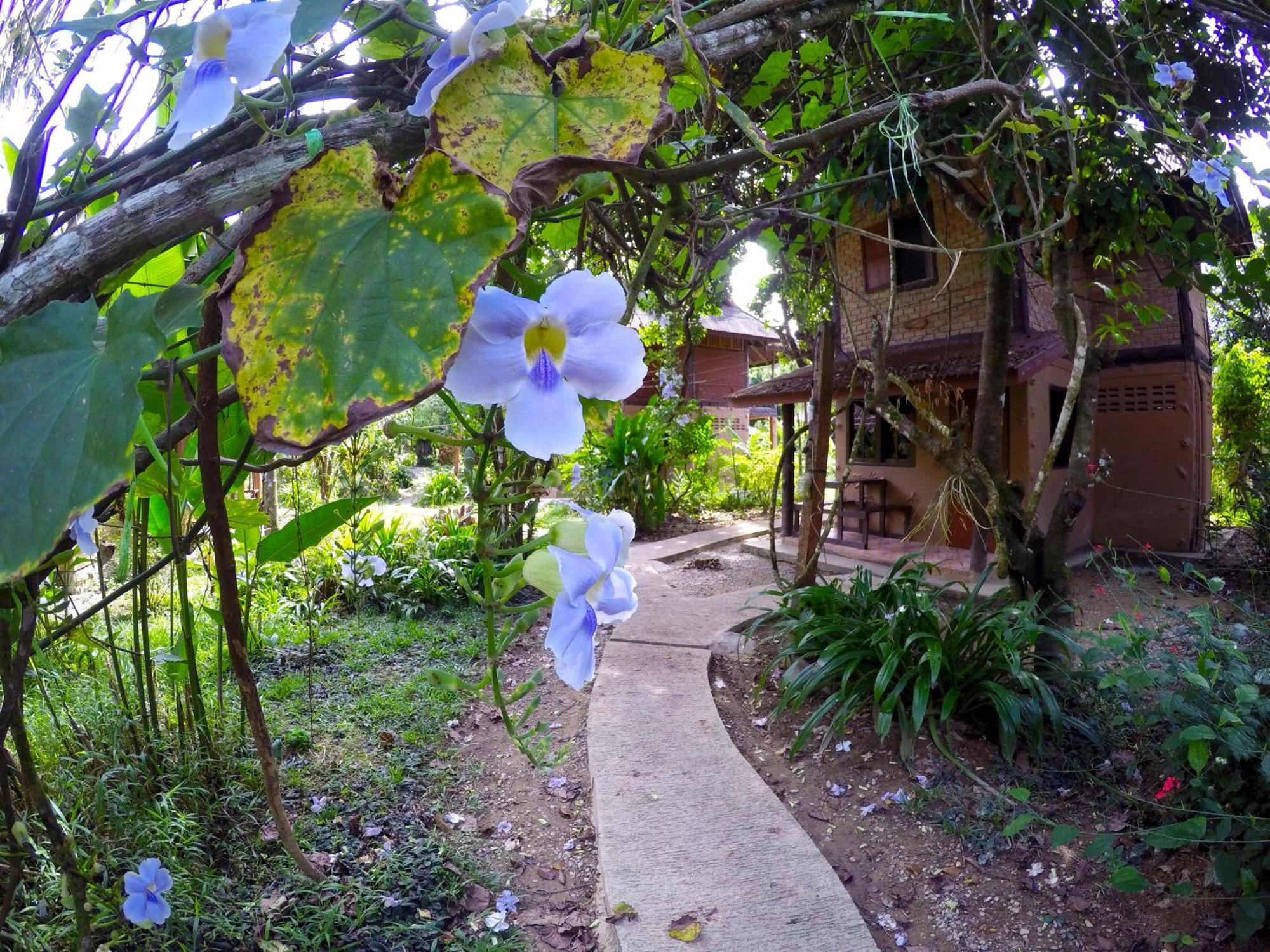 Khao Sok Morning Mist Resort Khao Sok National Park Exterior foto